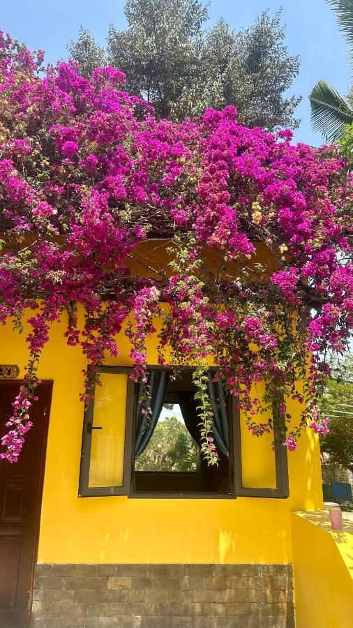 Bao Dien Guesthouse باو لوك المظهر الخارجي الصورة